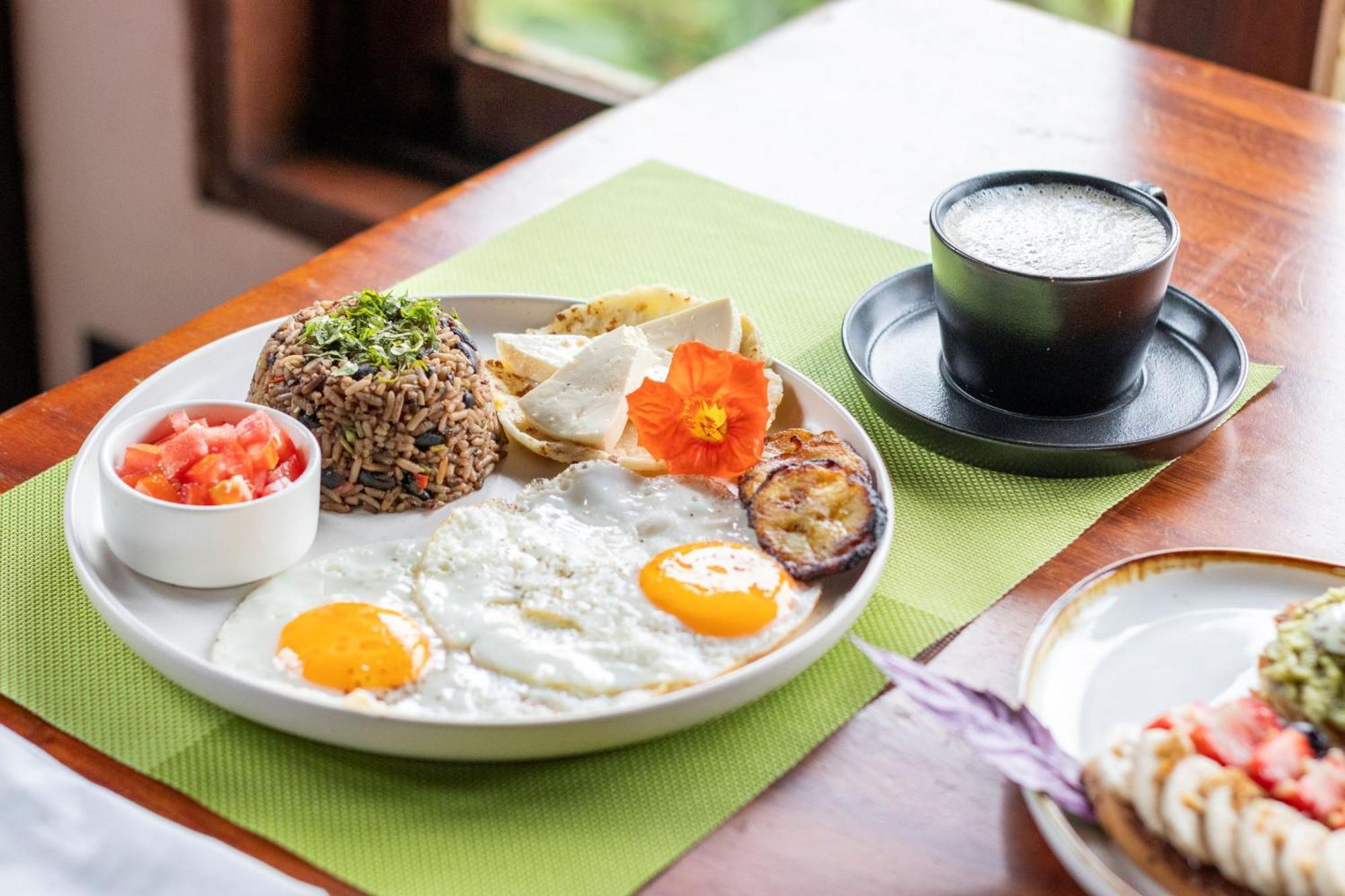 Villa Blanca Cloud Forest Hotel & Retreat San Ramón 外观 照片
